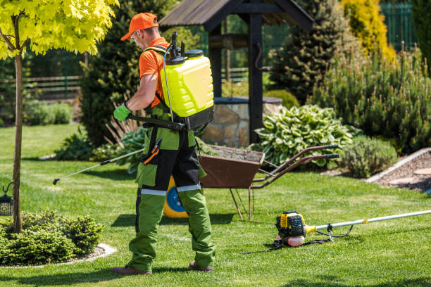 Lawn Pest Control in Camden, NJ